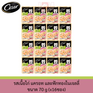 Cesar Pouch อาหารเปียก สำหรับสุนัข รสเนื้อไก่พร้อมแครอท และฟักทองในเจลลี่ ขนาด 70g.(x16 ซอง)