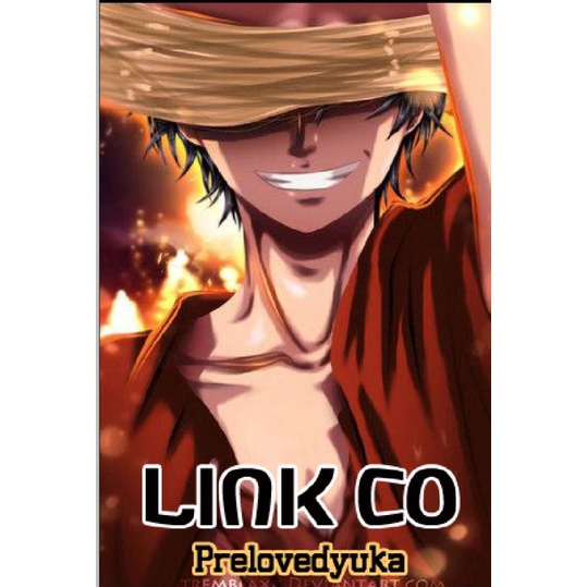 เสื้อยืด RHCP*******