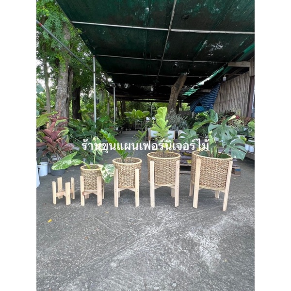 ตะกร้า ตะกร้าปลูกต้นไม้ ตะกร้าผักตบชวา ผสมหวายแท้ 🔥 งานสวยรับประกันคะ - รูปที่ 5