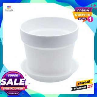 Plastic กระถางพลาสติกพร้อมจานรอง รุ่น TWP-2022MW ขนาด 4.8 นิ้ว สีขาว Plastic Flower Pot With Saucer FONTE TWP-2022MW Siz