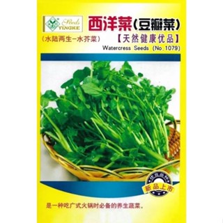 เมล็ด วอเตอร์เครส แท้ ( 1,000 เมล็ด )ผักน้ำเบตง ( Watercress ) **ไม่ใช่ผักเป็ดญี่ปุ่น**