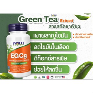 NOW Foods, EGCg สารสกัดชาเขียว ขนาด 400 มก. บรรจุแคปซูลผัก 90แคปซูล (อย.ไทย)