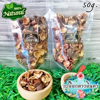 🌿ชาสมุนไพร🌿 ชาดาวอินคา เปลือกถั่วดาวอินคาอบแห้ง ขนาด 50 กรัม Dried Sacha Inchi Nut Shell