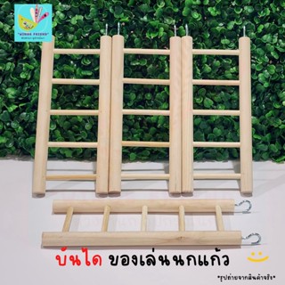 บันไดไม้ 5 ขั้น บันไดนก ของเล่นนกแก้ว ตกแต่งกรง