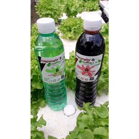 ปุ๋ย A/Bสำหรับการปลูกผักไฮโดรโปนิกส์