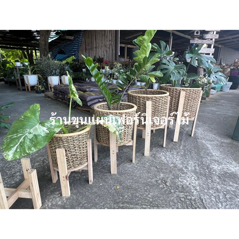 ตะกร้า ตะกร้าปลูกต้นไม้ ตะกร้าผักตบชวา ผสมหวายแท้ 🔥 งานสวยรับประกันคะ - รูปที่ 6