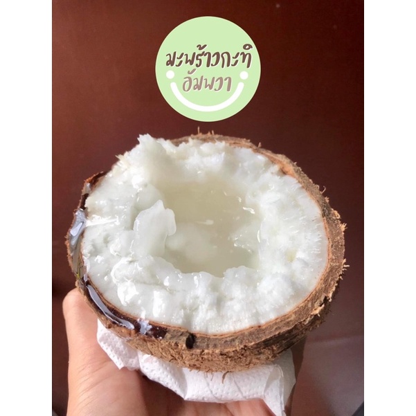 มะพร้าวกะทิอัมพวาแท้ เนื้อฟู หอมมัน พร้อมทาน สั่งง่าย ส่งไวทั่วไทย