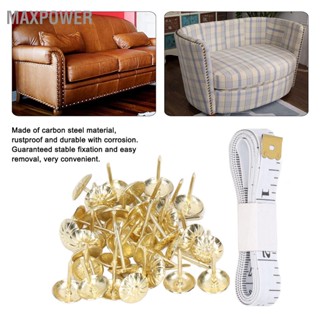 Maxpower 100Pcs Upholstery Tack หัวเล็บตกแต่งชุดเหล็กคาร์บอนชุดสำหรับเฟอร์นิเจอร์