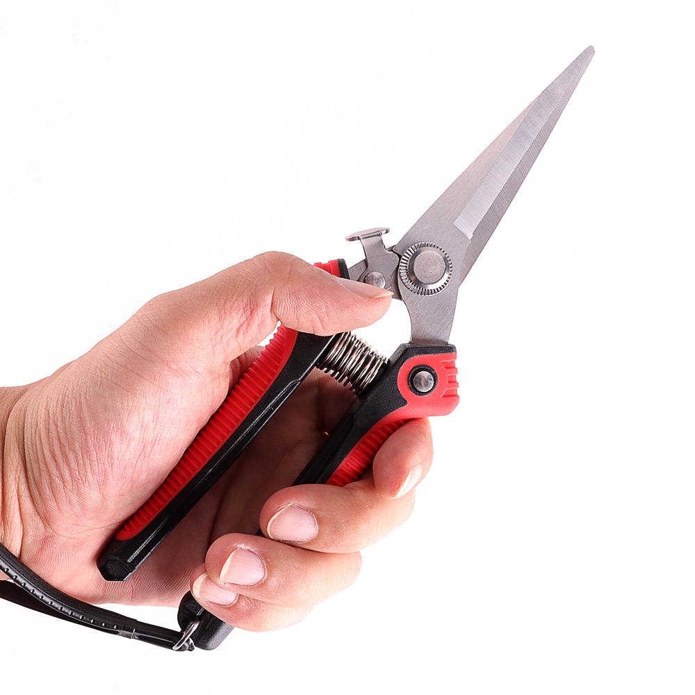 พร้อมส่ง🚕 กรรไกรตัดกิ่ง คีมตัดกิ่งไม้ กรรไกรตัดดอกไม้ ตกแต่งกิ่ง ปลายแหลม กรรไกรสแตนเลส เครื่องมือจัดทำสวน - รูปที่ 7