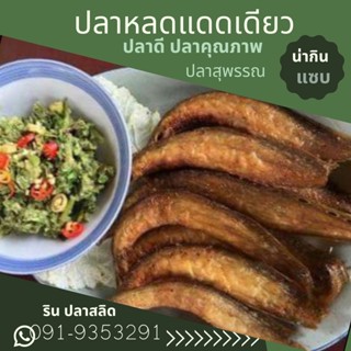 ปลาหลดแดดเดียวทอดพร้อมทาน เนื้อแน่นๆ สดใหม่ ไม่ตุไม่คาว เค็มน้อย สะอาด รสชาติเค็มกำลังดีจ้า ขนาด 300 กรัม