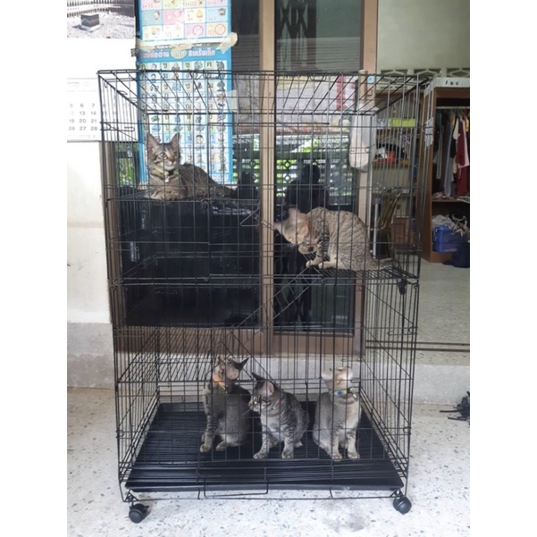 Petzilla กรงแมว4ชั้น กรงแมวขนาดใหญ่ (EXTRA) พับได้ กรงสัตว์เลี้ยง ​กรงกระต่าย กรงหมา พับได้ มีชั้นลอยพร้อมบันได รูปที่ 3