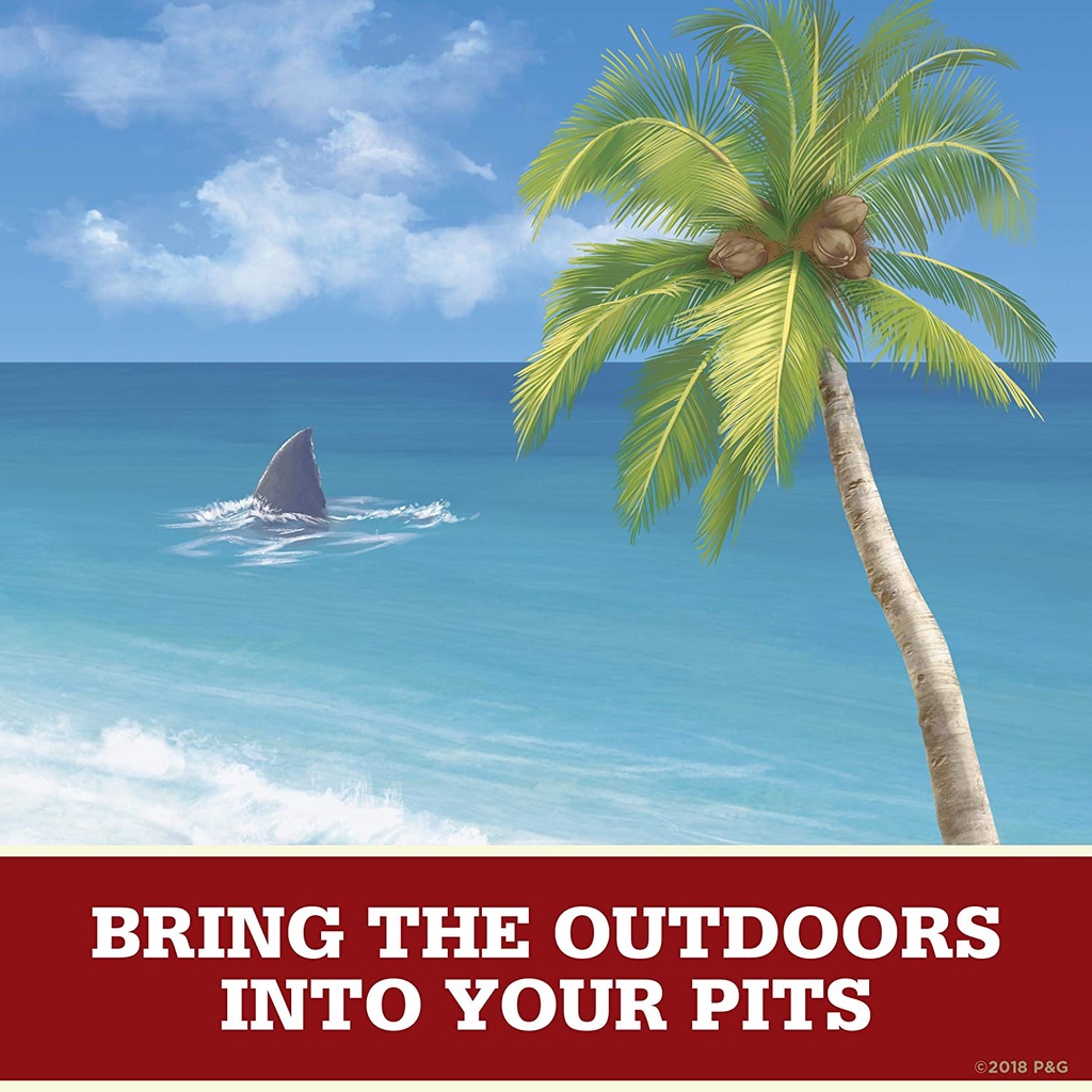 Old Spice Fiji โรลออน ระงับกลิ่นกาย ระงับเหงื่อ รูปที่ 5