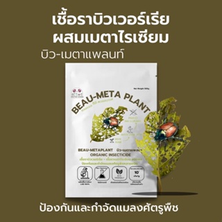 บิวเวอร์เรีย ผสม เมธาไรเซียม (100g) กำจัดแมลงศัตรูพืชทุกชนิด เพาะเชื้อจากห้องLAB100% ออร์แกนิคแท้ ปลอดภัย