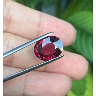 พลอยโรโดไรด์การ์เนต (Rhodolite garnet)นน7.43กะรัต