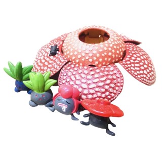 Pokemon Evolution of Rafflesia and Japan Rafflesia corpse flower plant PVC figure model   #โปเกม่อน