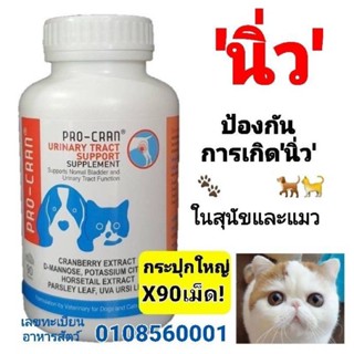 1กระปุกมี90เม็ดกระปุกใหญ!!Pro-Cranวิตามินป้อนกันการเกิดนิ่ว ลดการติดเชื้อในกระเพาะปัสสาวะในสุนัขแมว