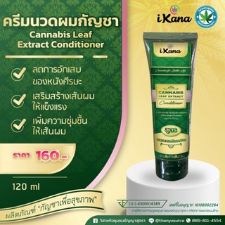 ครีมนวดผมกัญชา (Cannabis Leaf Dried Conditione)