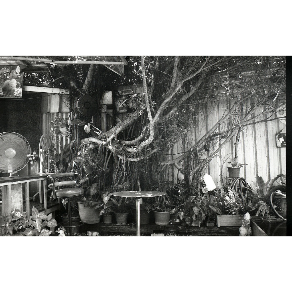 ฟิลม์ Kodak 5234 Duplicate Panchromatic ISO 6 Black and White film 35mm.