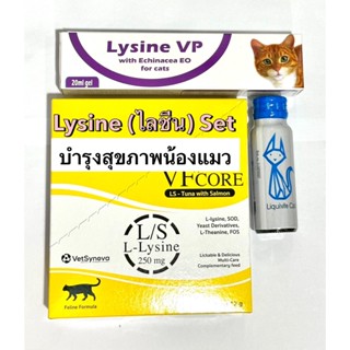 Lysine Set บำรุงลูกแมว เสริมภูมิ แมวป่วย แก้หวัดแมว (VFcore+LysineVP+CAre A Pet)