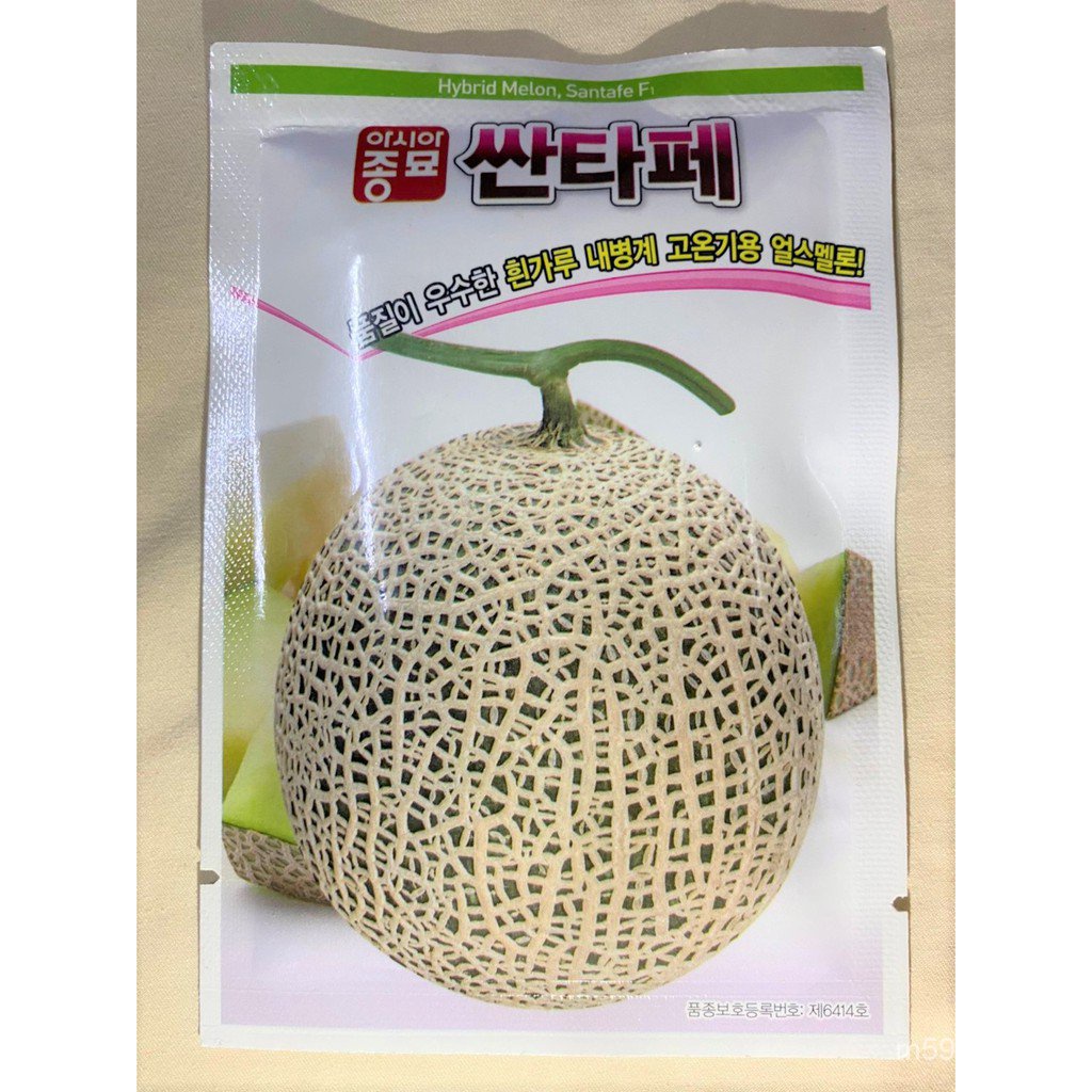 10 Korean melon seeds Santa Fe F1 (very sweet, 16 Brix, round shape