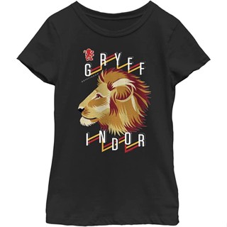 Harry Potter Kids&amp;#39; Gryffindor Team T-Shirt_07