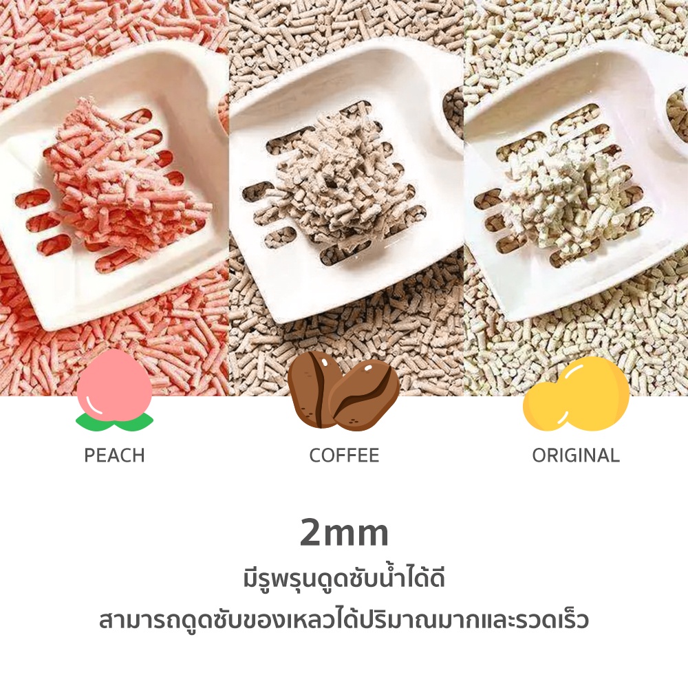 รูปภาพ 4