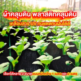 SGE พลาสติกคลุมวัชพืช ผ้าคลุมดิน ยาว100เมตร พลาสติกเหนียวพิเศษ รุ่น SCS ยกม้วนสุดคุ้ม!!!