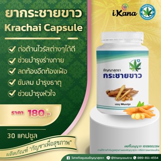 ยากระชายขาว (Krachai Capsule)