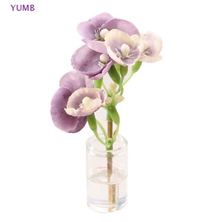 Yumb โมเดลกระถางดอกไม้จิ๋ว 1:6 สําหรับตกแต่งบ้านตุ๊กตา