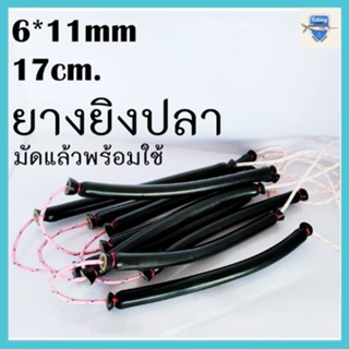 ยางยิงปลา ขนาด6x11mm. มัดสำเร็จพร้อมใช้ 1คู่ เหนียวทนทาน นิยมใช้ รับประกันสินค้า