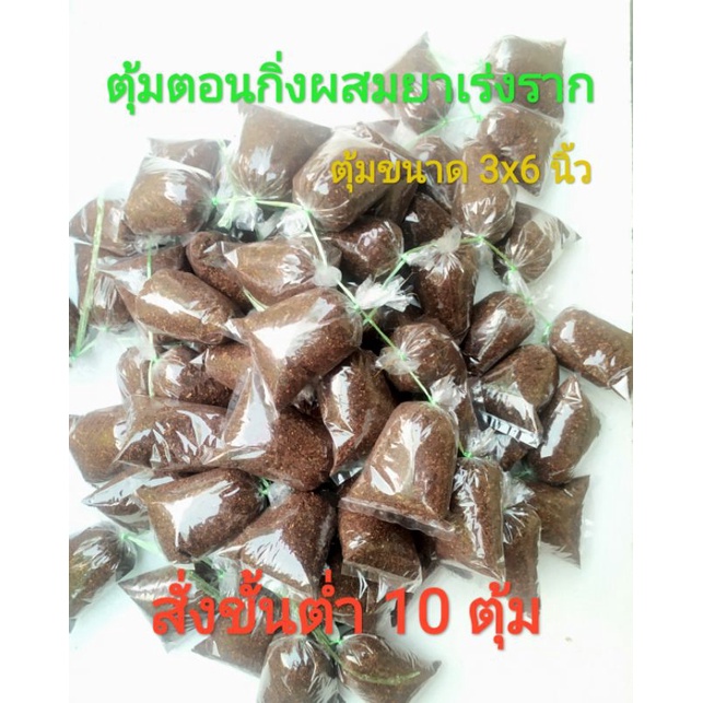 ตุ้ม​ตอนกิ่ง​ผสมยาเร่งรากขยายพันธุ์​ต้นไม้​