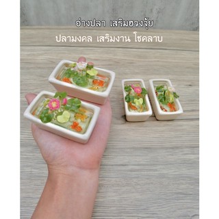 อ่างปลาจิ๋ว เสริมฮวงจุ้ย เรียกเงินเรียกเสน่ [ รหัส OP4 ]