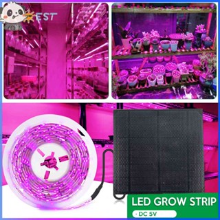 ❉ดีที่สุด❉สายไฟ LED 2835 SMD พลังงานแสงอาทิตย์ 5 เมตร สําหรับปลูกพืช