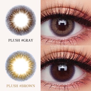 คอนแทคเลนส์ (ลิมิเตด) รุ่น Plush Gray / Brown &lt;&lt;&lt; แบบสายตาปกติและสายตาสั้น