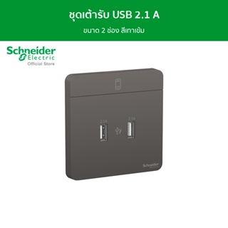 Schneider ชุดเต้ารับ USB 2.1 A ขนาด 2 ช่อง สีเทาเข้ม รุ่น AvatarOn E รหัส E8332USB_DG