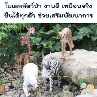 [COD] โมเดลสัตว์ป่า ไซส์จัมโบ้ ไม่บาดมือ โมเดลสัตว์ โมเดลสัตว์ของเล่นเสริมพัฒนาการ สัตว์ของเล่น