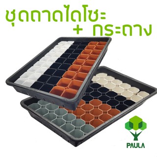 Paula เซ็ทถาดไดโซะใหญ่ พร้อมกระถาง 2 นิ้ว 54 ใบ ถาดเพาะต้นกล้า ถาดเพาะต้นอ่อน