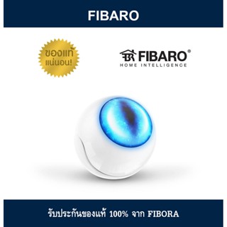 FIBARO Motion Sensor V1.0