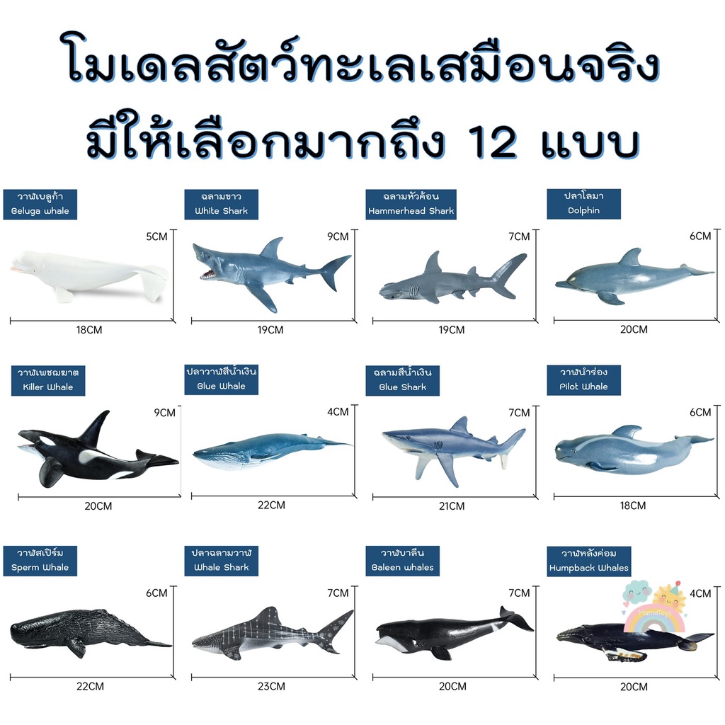 [COD] โมเดลสัตว์ทะเล โมเดลปลา ไซส์จัมโบ้ โมเดลสัตว์ โมเดลสัตว์ของเล่นเสริมพัฒนาการ สัตว์ของเล่น รูปที่ 3