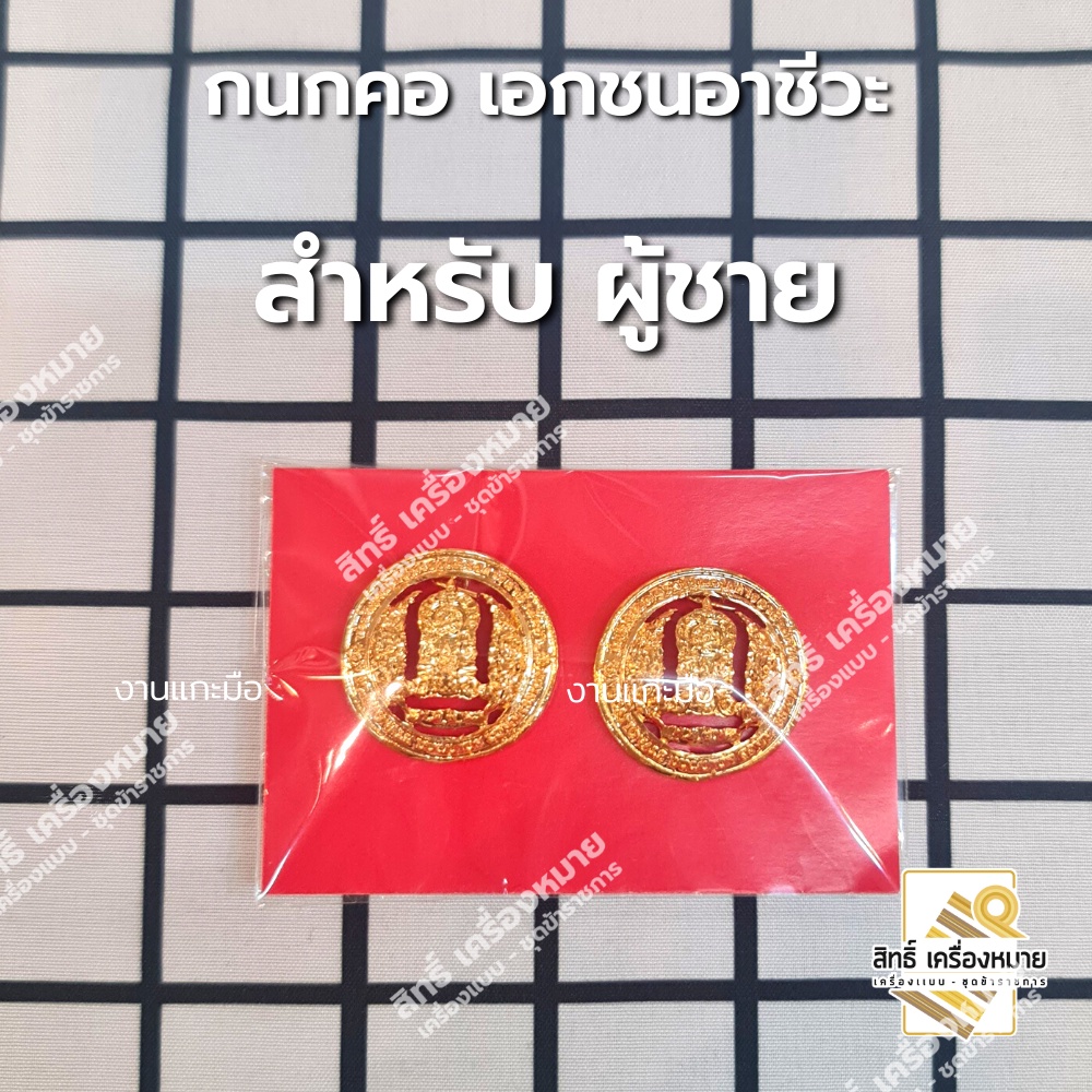 กนกคอเอกชนอาชีวะ สังกัดเอกชนอาชีวะ /เข็มติดปกคอเสื้อ-เครื่องหมายข้าราชการ-งานแกะมืออย่างดี (ขาเข็มกลัด)