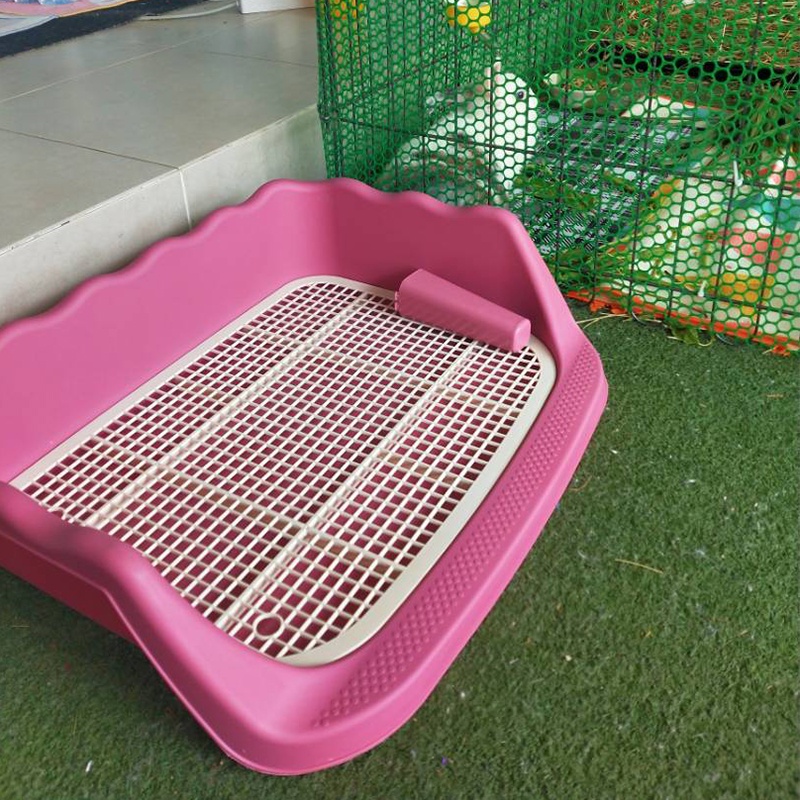 รูปภาพ 9