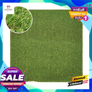 Artificial หญ้าเทียม GRASSY รุ่น Ample PX2-2501G073-BL ขนาด 1 x 1 เมตร สีเขียวแซมน้ำตาล Artificial grass FONTE GRASSY, M