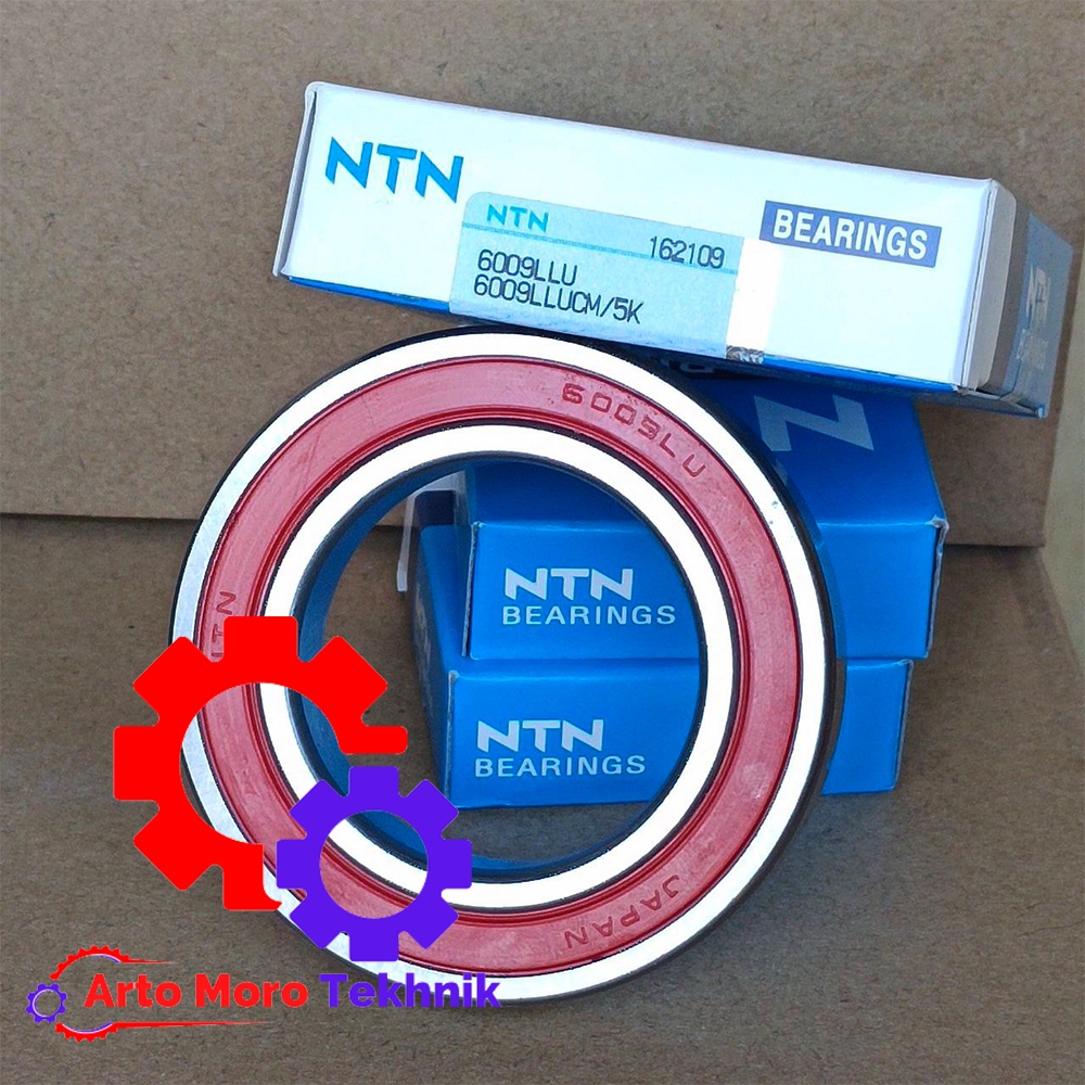 Bering 6009 2RS NTN*