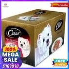 อาหารสัตว์ Cesar Beef &amp; Liver Fkavour อาหาแมวรสเนื้อและตับ ซีซาร์ 100กรัม Cesar Beef &amp; Liver Fkavour Cat Food