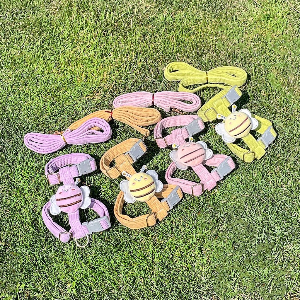 รูปภาพ 6