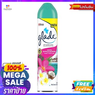 Glade(เกลด) เกลด สเปรย์น้ำหอมปรับอากาศ กลิ่นเอ็กโซติก ทรอปิคอล ฟลอรัล 320 มล. Glade Air Freshener Spray Exotic Tropical