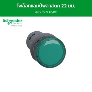 Schneider ไพล็อทแลมป์, พลาสติก, เขียว, Ø 22 มม., มี LED ติดตั้งในตัว, 24 V AC/DC รหัส XA2EVB3LC