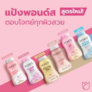 PONDS POWDER แป้งพอนด์ส 50กรัม