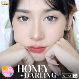 WinkWow Honey Darling Eff.14.5 Gray มินิ