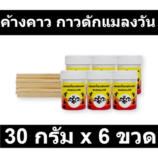 ค้างคาว กาวดักแมลงวัน 30 กรัม x 6 ขวด รหัสสินค้า 54301